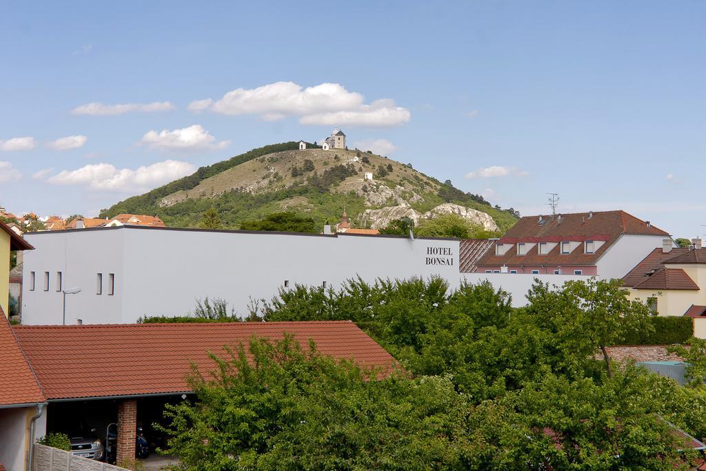Pension Cizek Mikulov Exteriör bild